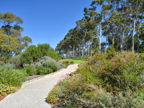 Perth_Kings Park